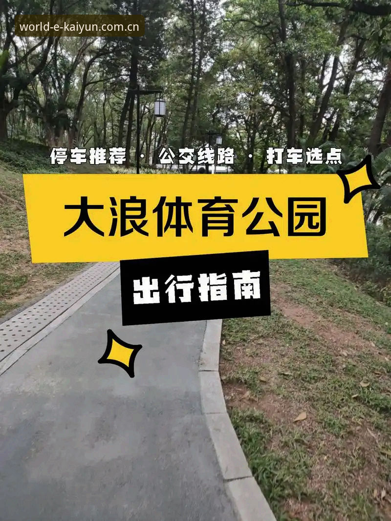 2026开云体育登录操作教程：从安装到观赛的完整指南